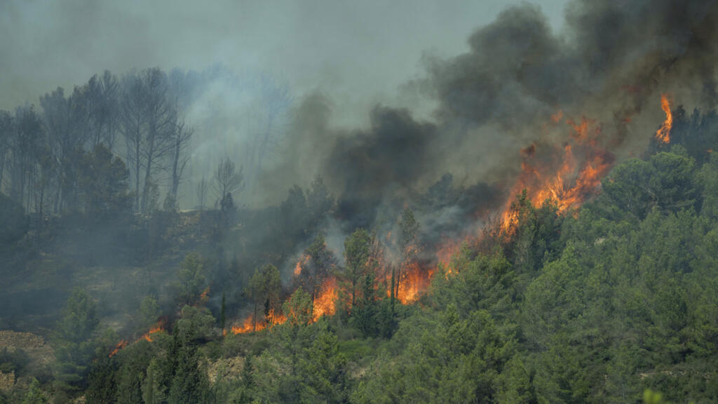 Wildfire in southern France kills woman and forces mass evacuations