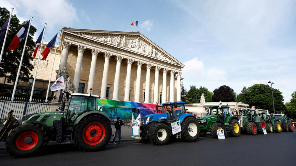 France's top constitutional court rejects return of bee-killing pesticide