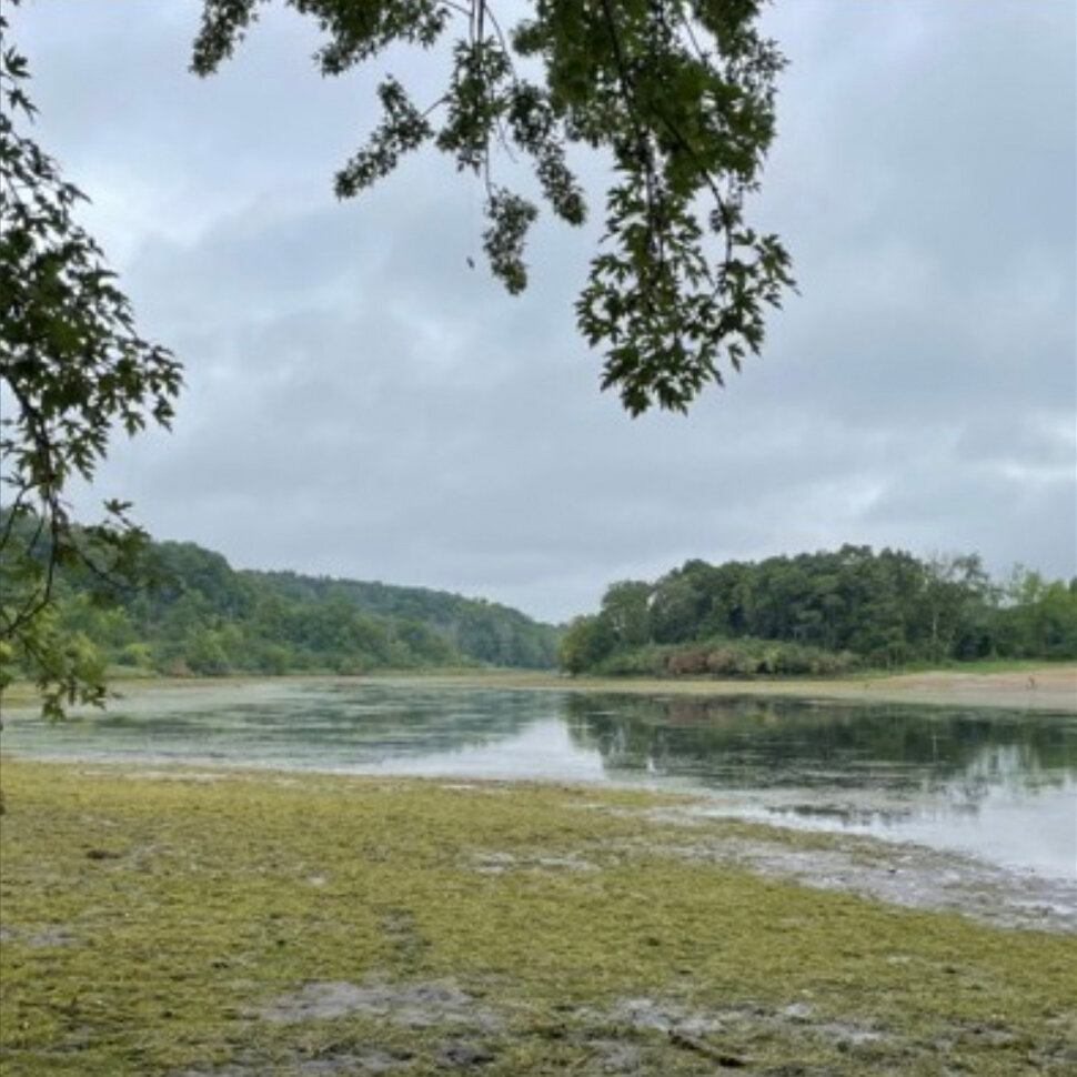 ‘Only a Stream Remains’: Minnesota Lake Is Drained After Valve Malfunction