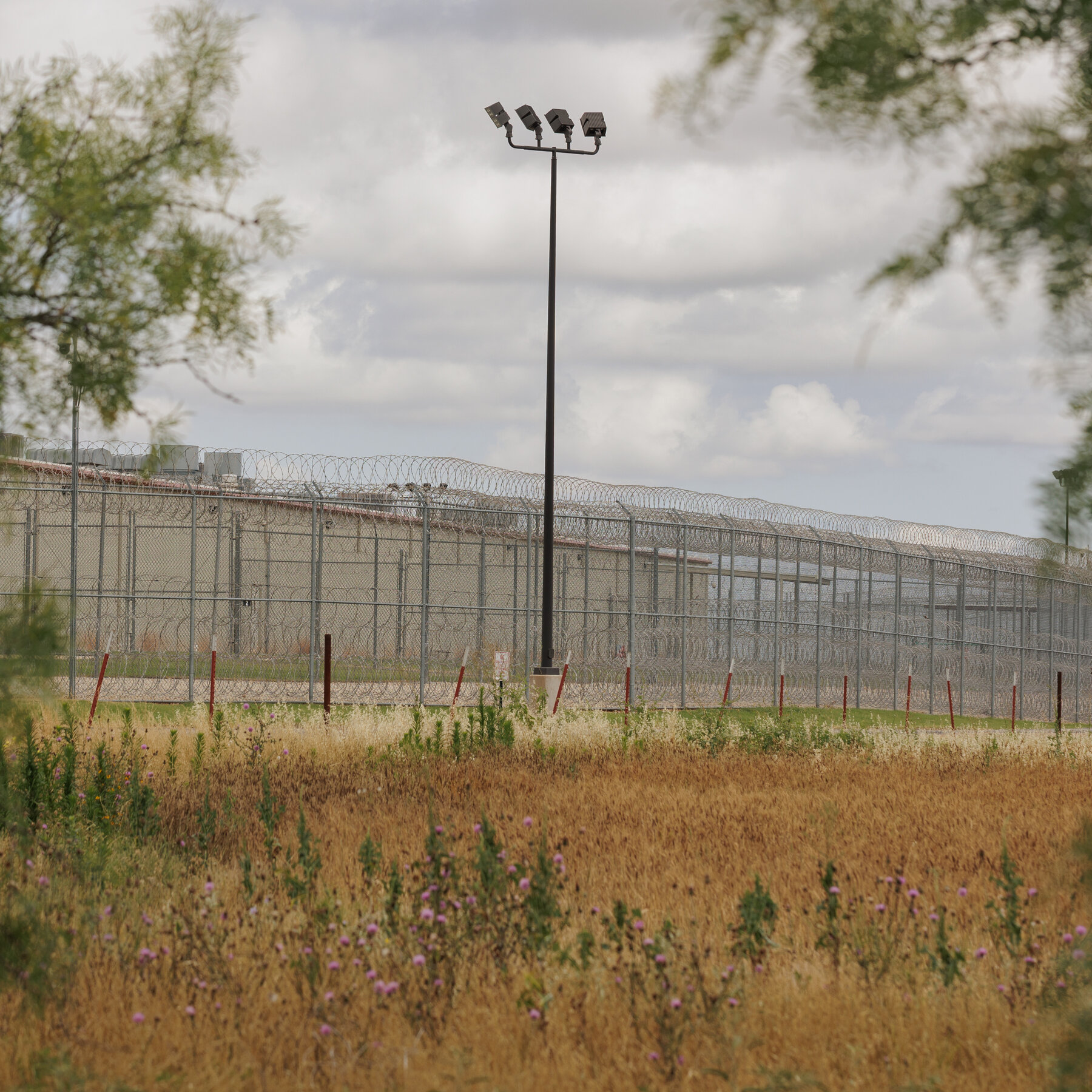 Over 60,000 Are in Immigration Detention, a Modern High, Records Show