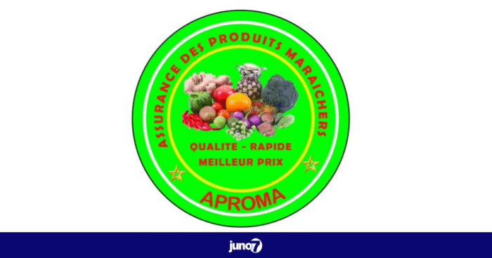 APROMA : soutenir les cultivateurs et dynamiser le commerce maraîcher dans le Nord