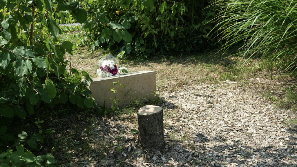 French leaders condemn felling of tree honouring murdered Jewish man