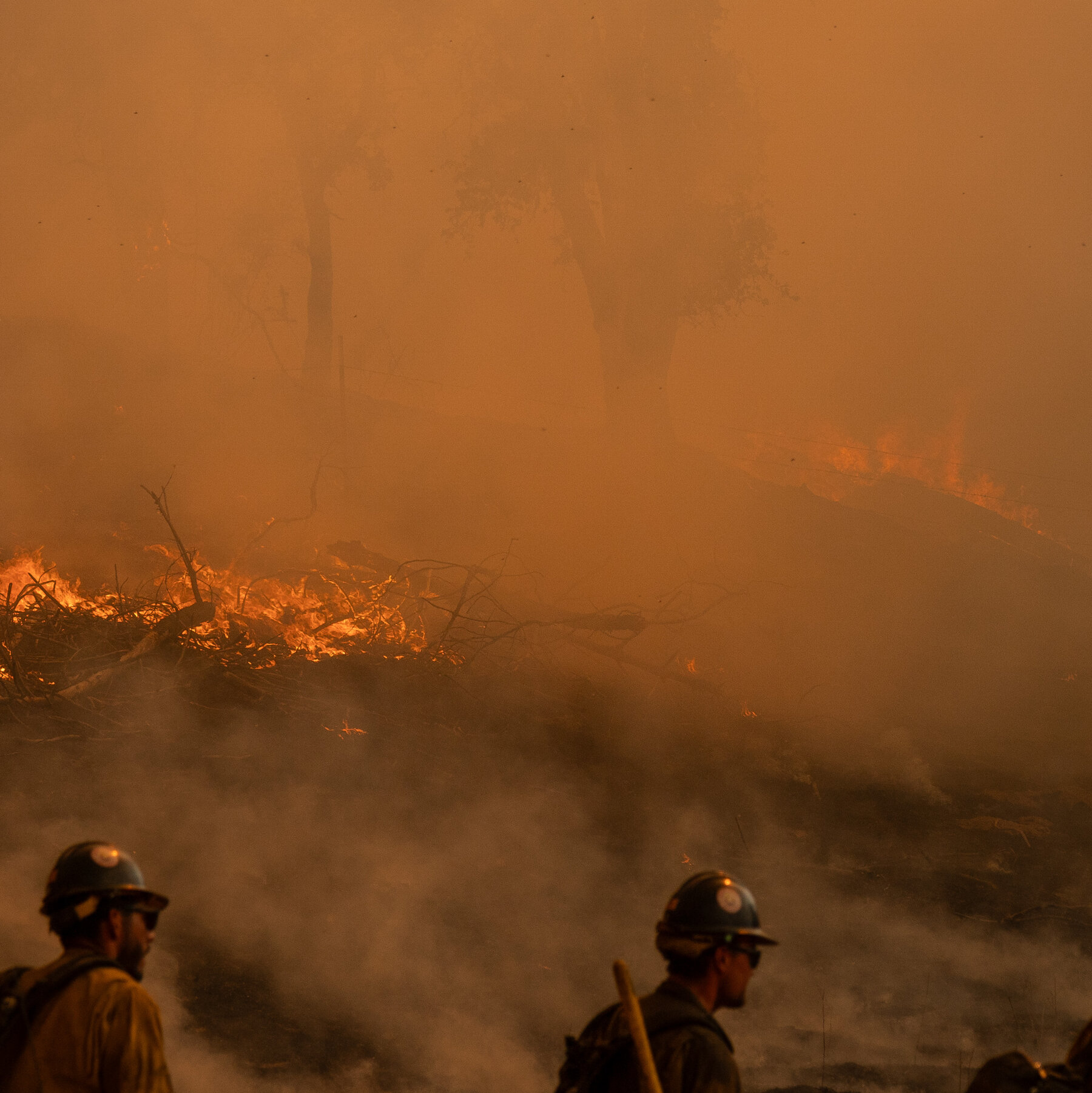 Wildfire Fighters, Unmasked in Toxic Smoke, Are Getting Sick and Dying