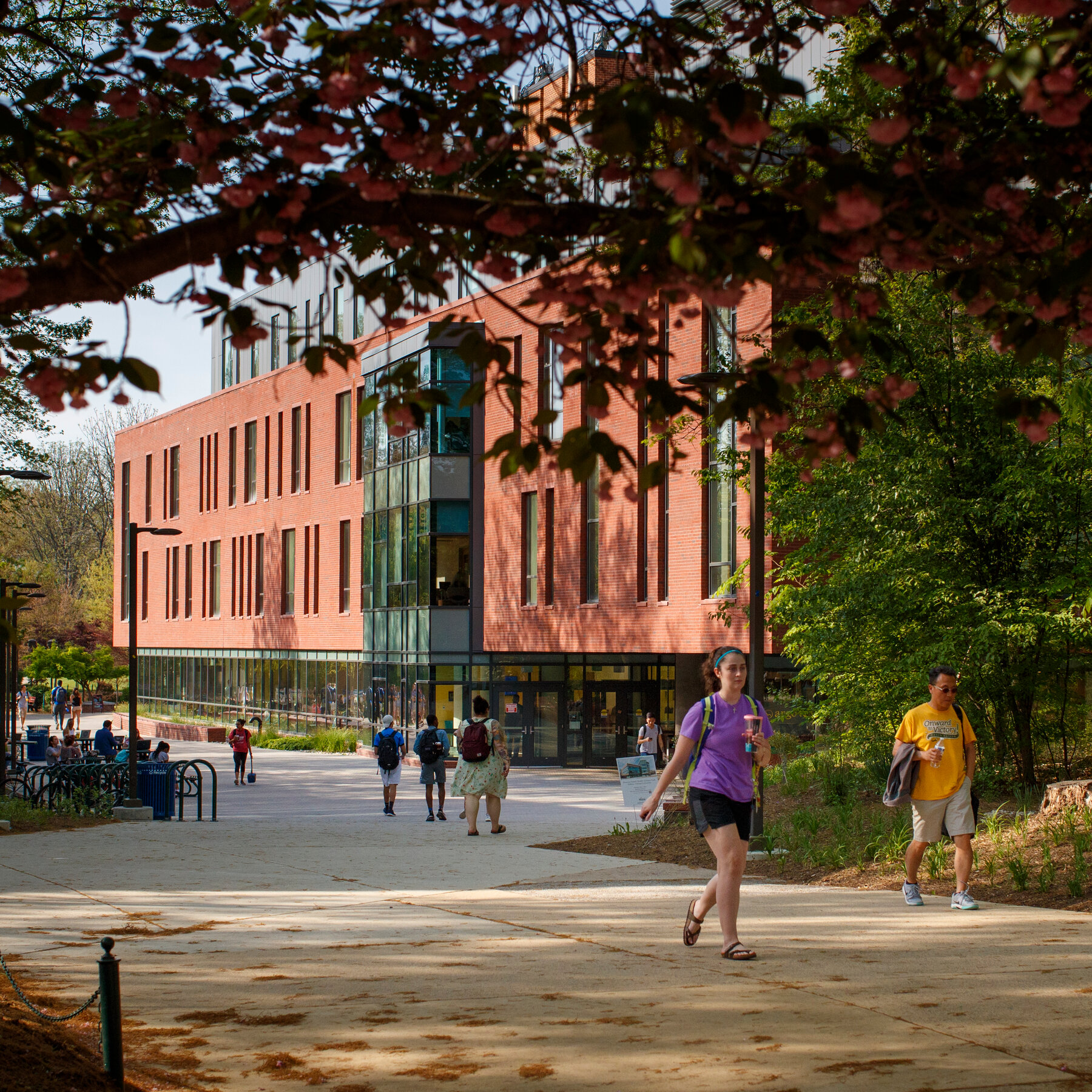 Trump Officials Demand George Mason’s President Apologize Over Diversity