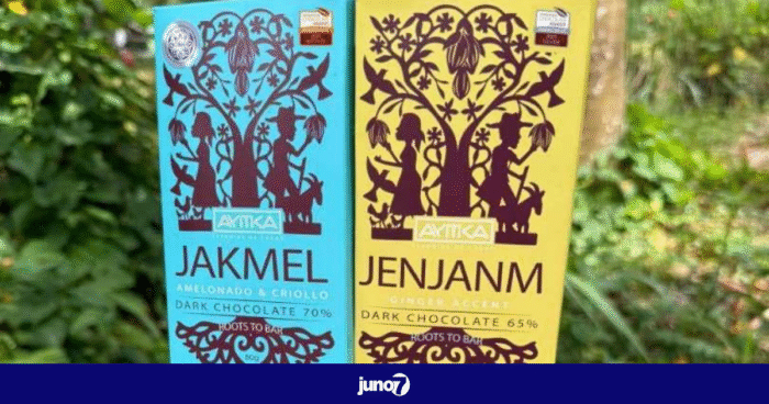 Ayitika : le chocolat haïtien rafle deux médailles aux International Chocolate Awards 2025