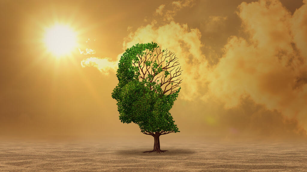 France’s summer of heatwaves exposes hidden mental health cost