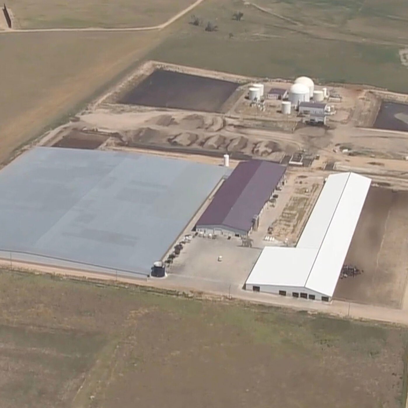 6 Men Are Killed in an Accident at a Colorado Dairy Farm