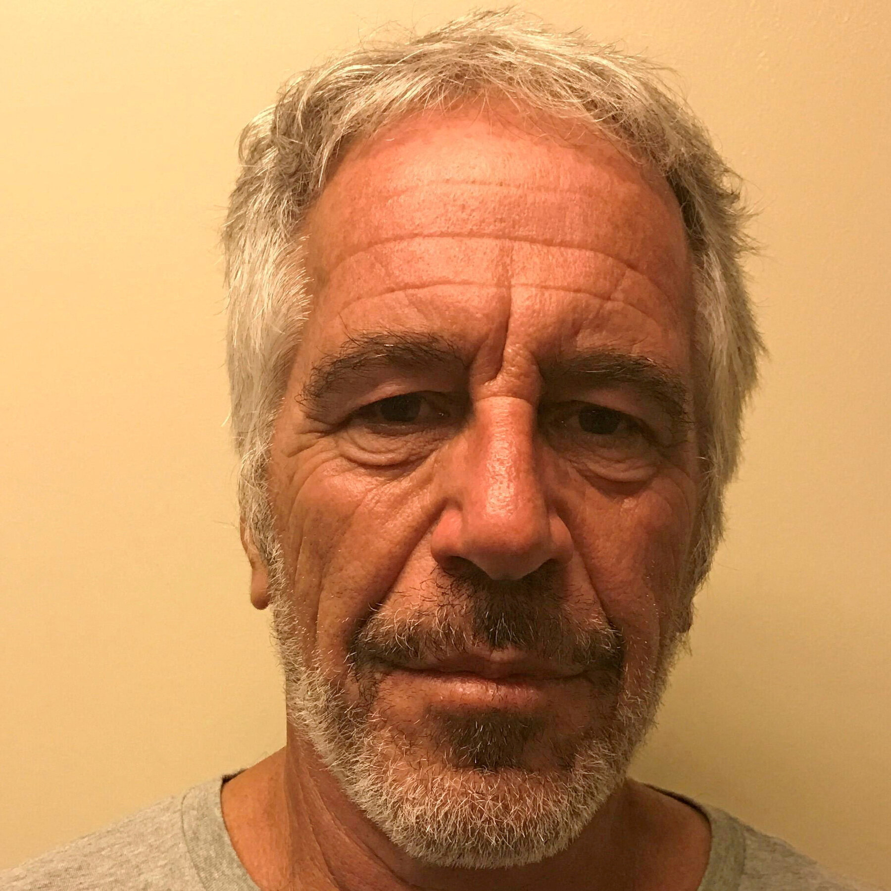 Justice Dept. Sent Congress Epstein Files That Were Already Public, Democrats Say