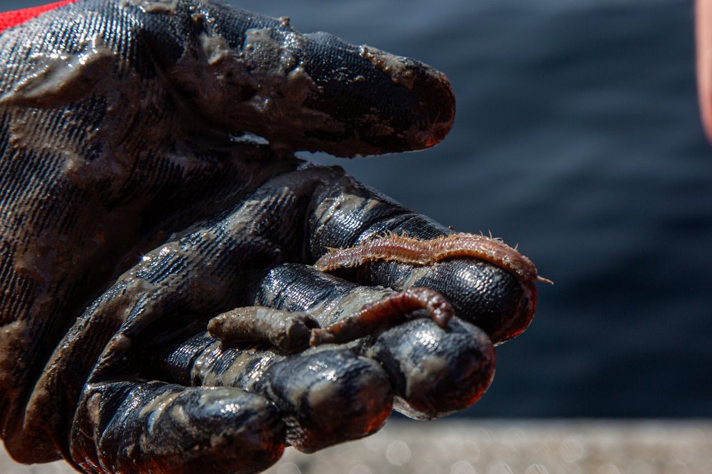 Scientists search for climate change answers in Quebec sea floor