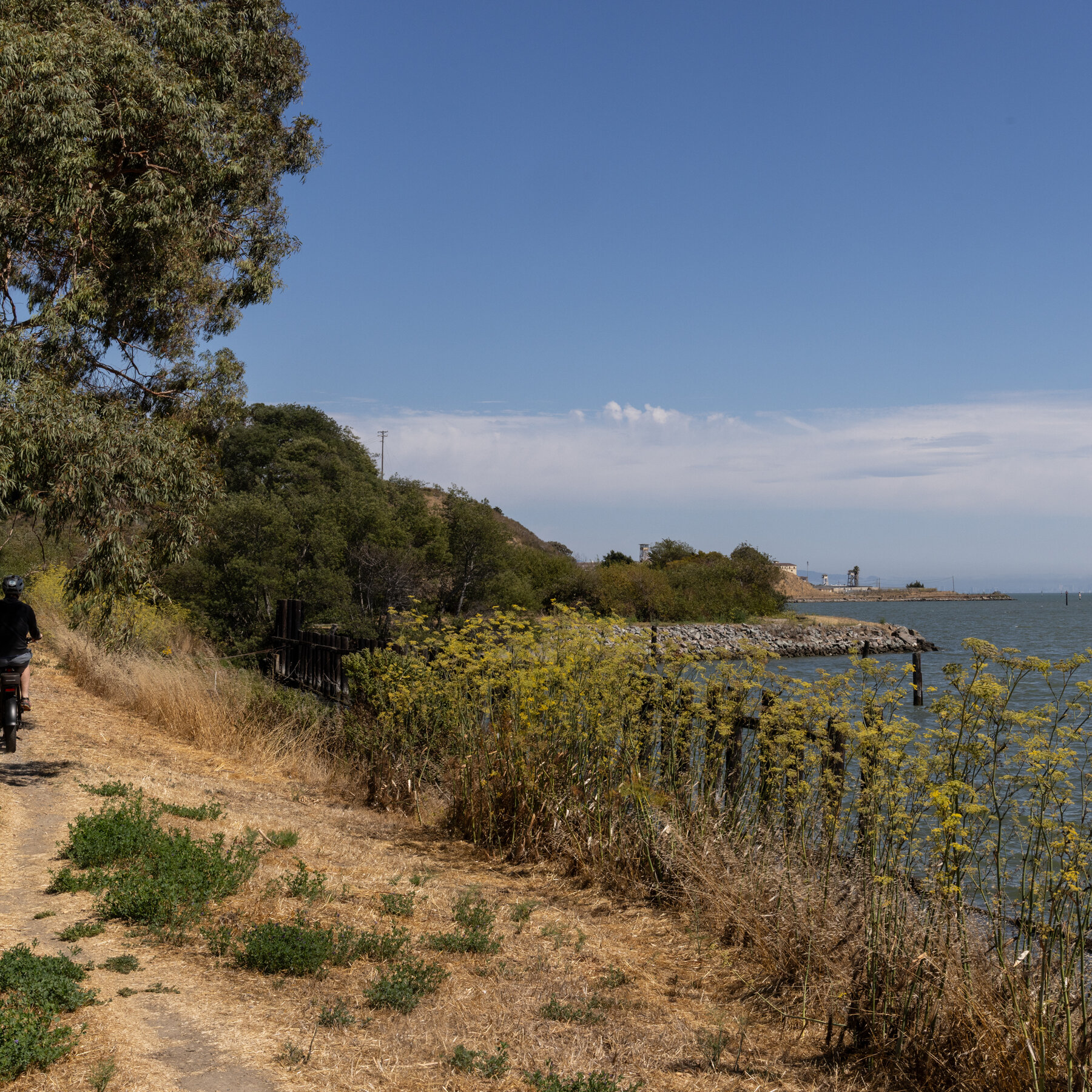 Marin Lately, a New Satire Publication, Skewers Marin County