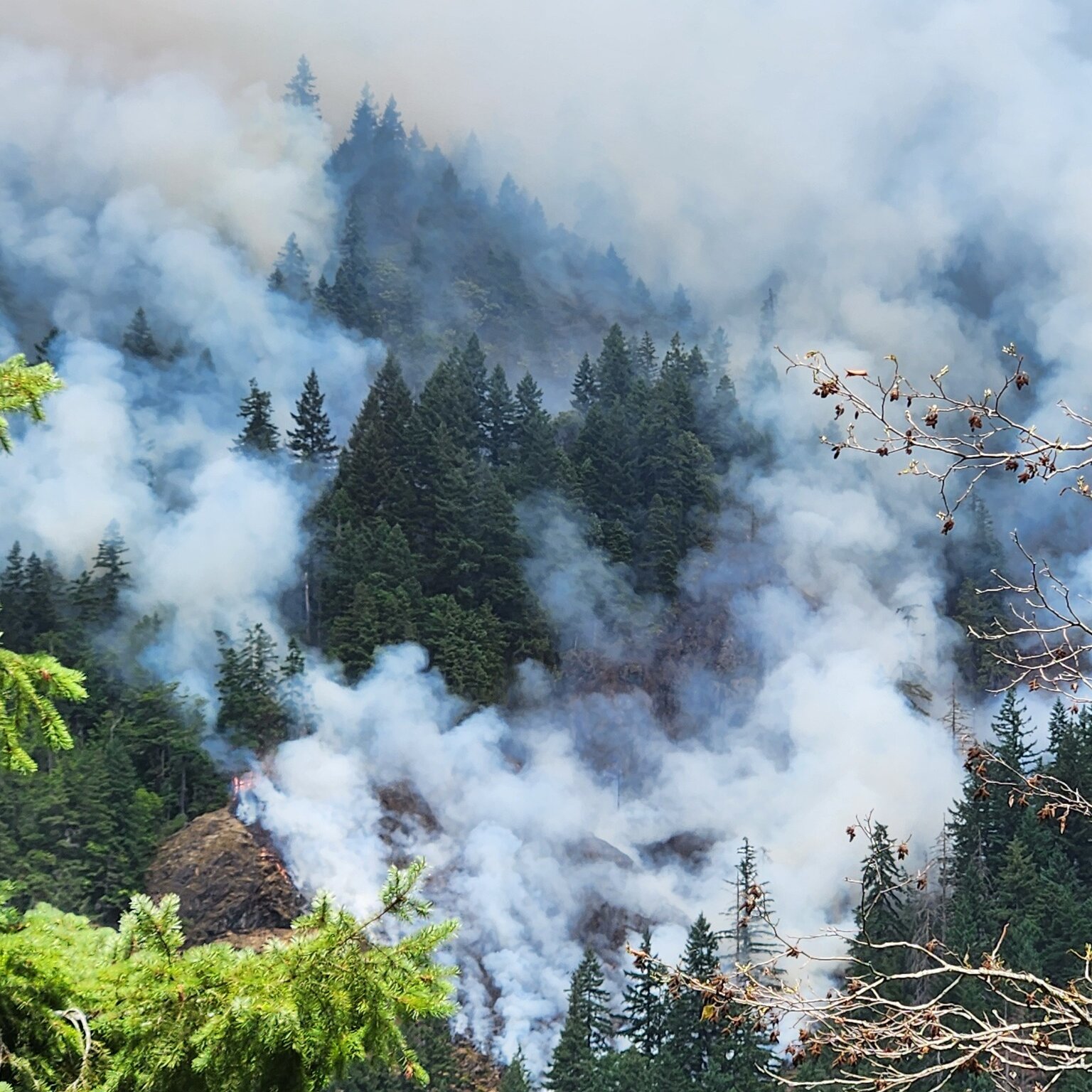 A firefighter detained while working at a wildfire in Washington State entered the U.S. at age 4.