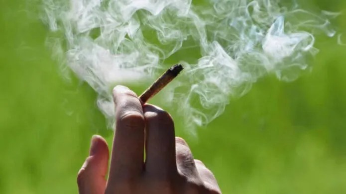 Fumer du cannabis fait perdre la mémoire : ce que la science révèle sur les risques cognitifs
