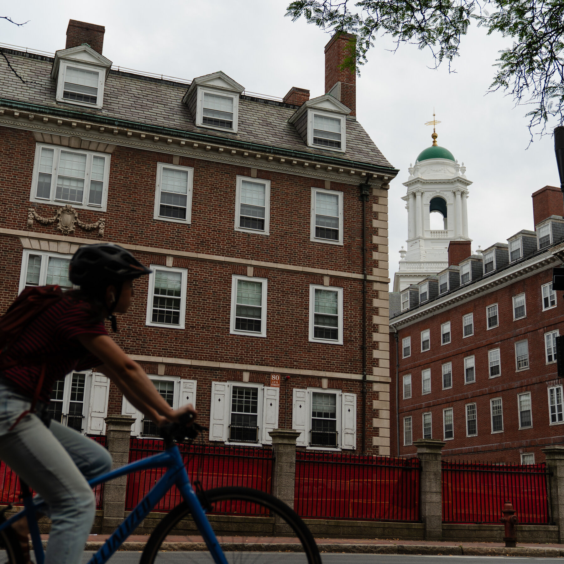 Harvard Secures a Court Victory in Its Fight With Trump