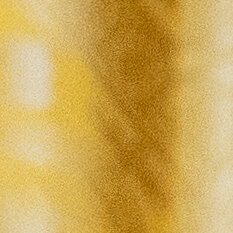 Melania Trump Has a Warning for Humanity: ‘The Robots Are Here’