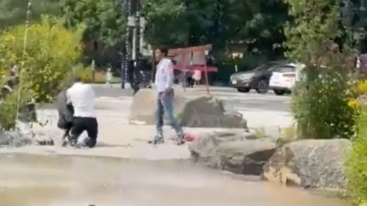 Montreal man who attacked Jewish father in park not criminally responsible