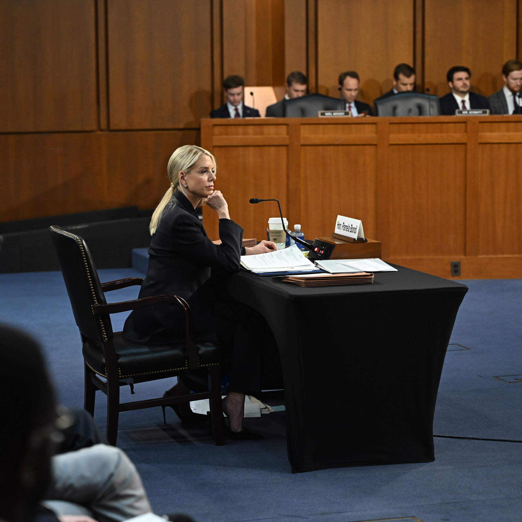 3 Key Takeaways From the Bondi Hearing