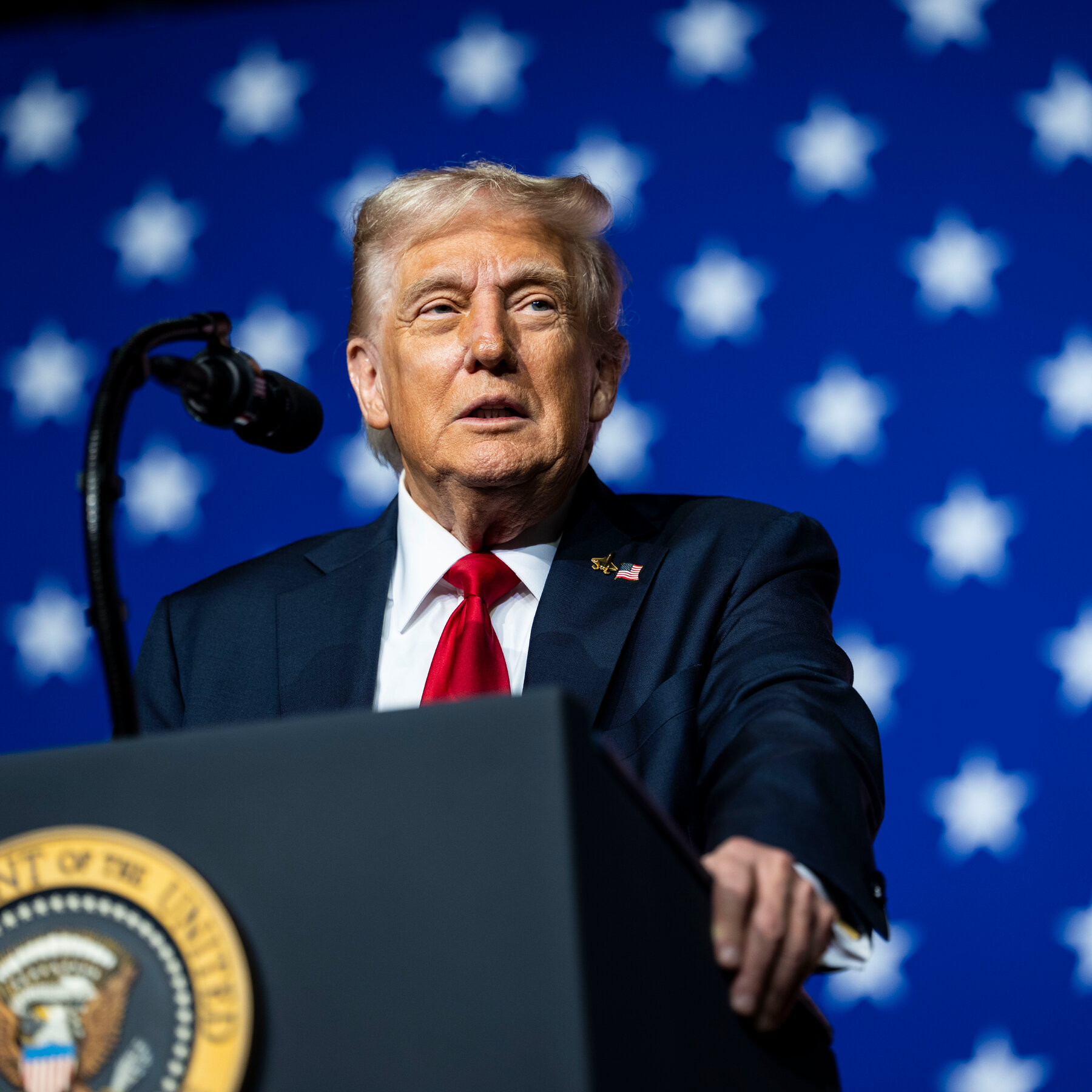 Democratic Alarm Over an Unbound Trump Fuels Shutdown Standoff