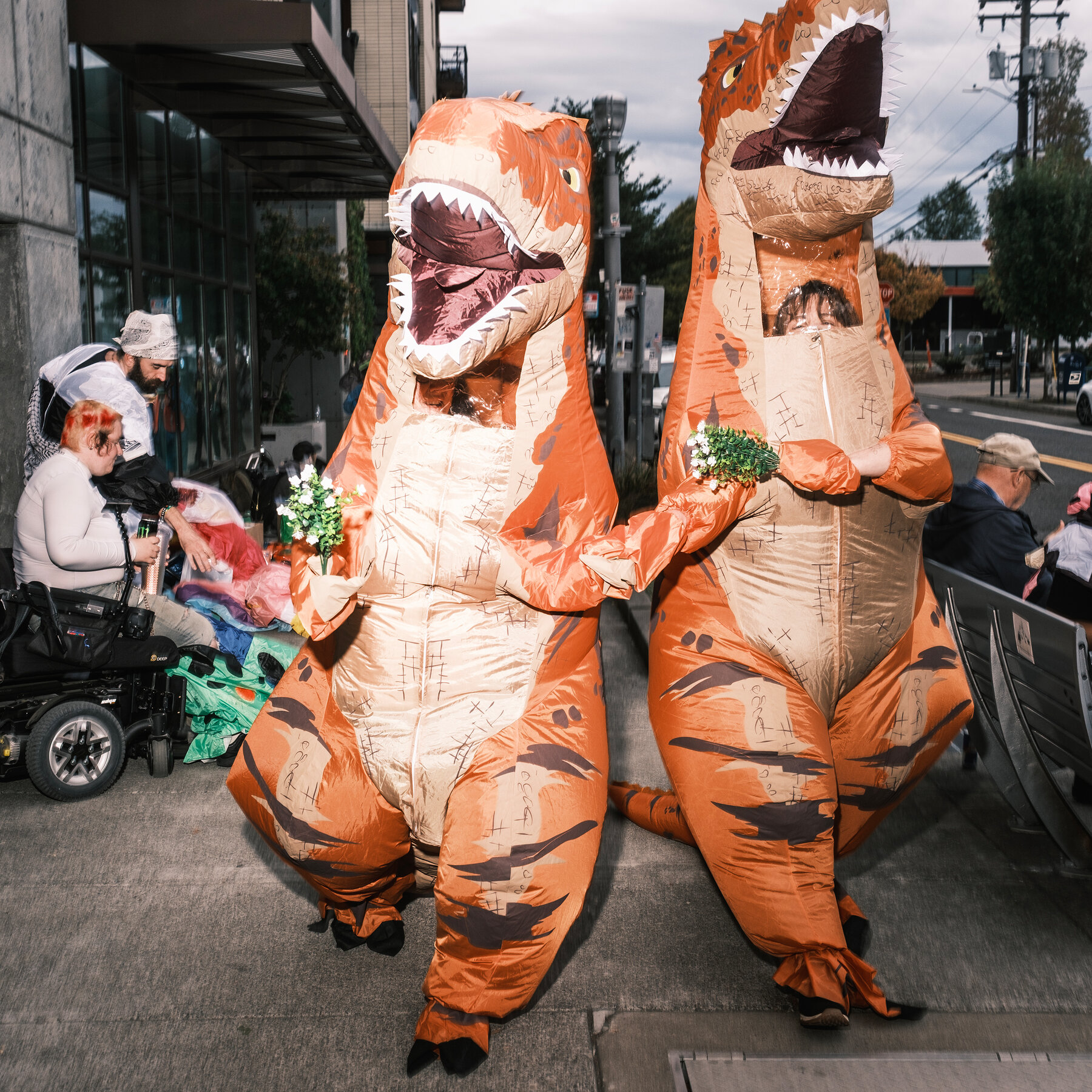 Among Portland Protests, It’s Frogs and Sharks and Bears, Oh My.