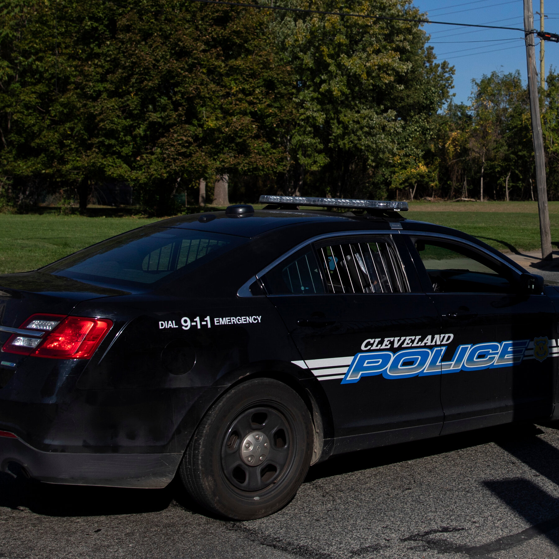 Boy and Girl Face Rape and Attempted Murder Charges in Attack on Girl