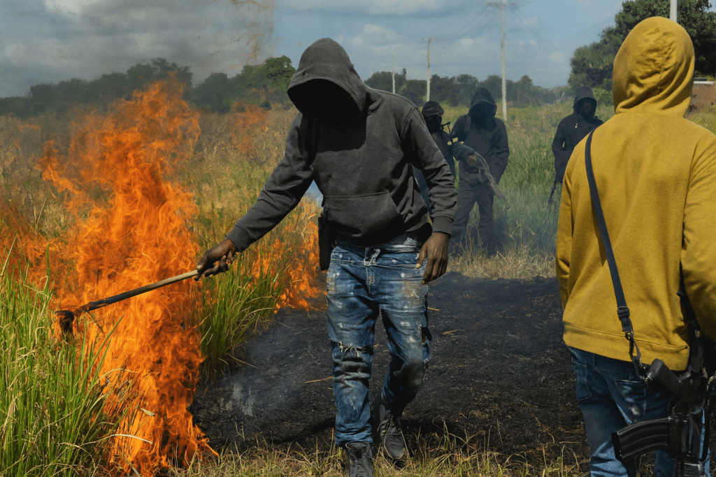 Artibonite | Les “Kokorat San Ras” mettent le feu aux champs de riz à L’Estère
