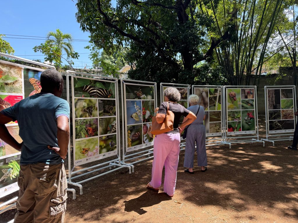 ‘Wild Haiti 2025’ exhibit reconnects Haitians with their ecological heritage