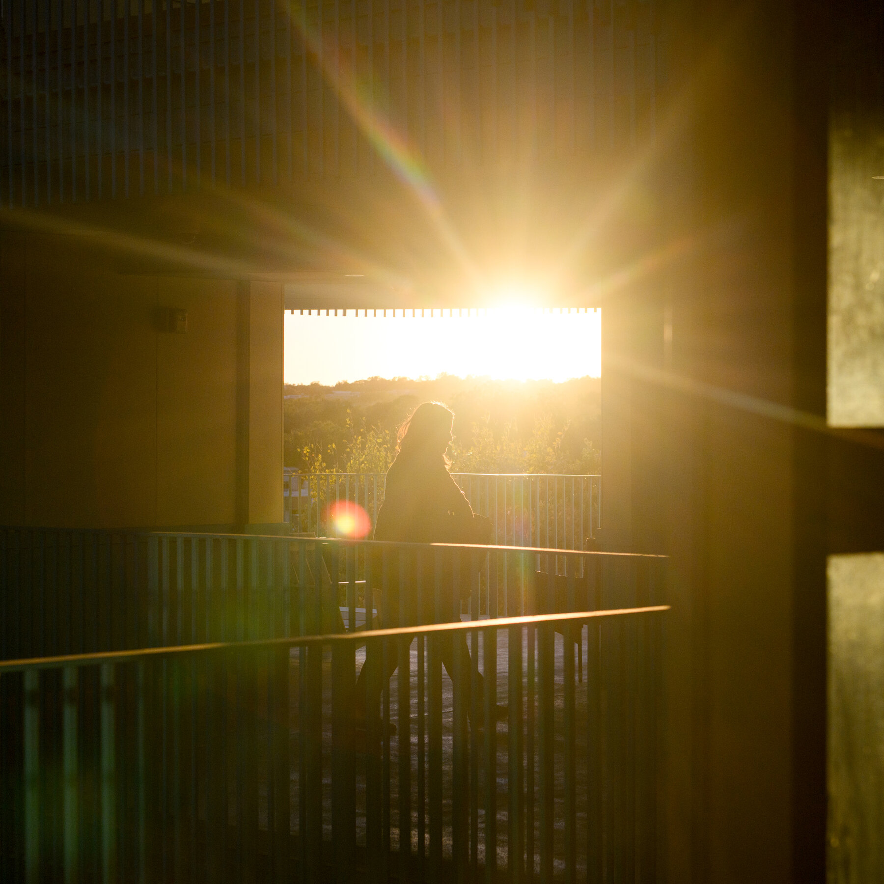 Austin Asked Voters to Raise Taxes for the Homeless. It’s Not Going Well.