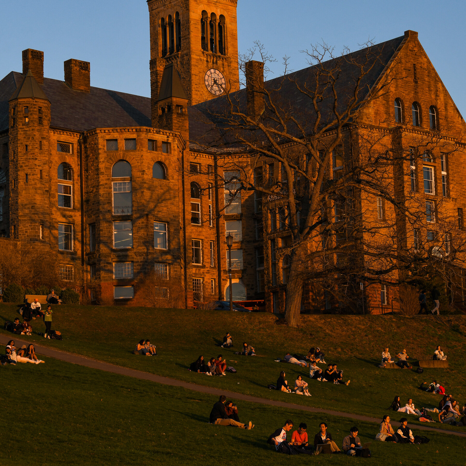 Cornell Reaches Deal with Trump Administration to Restore Research Funds