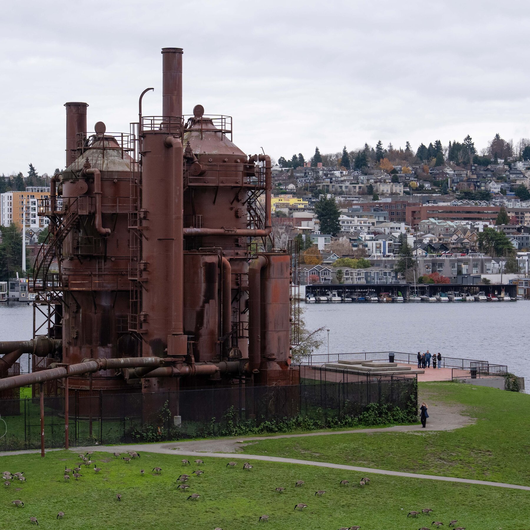 Seattle’s Gas Works Park Seen As A Public Nuisance After a Suicide