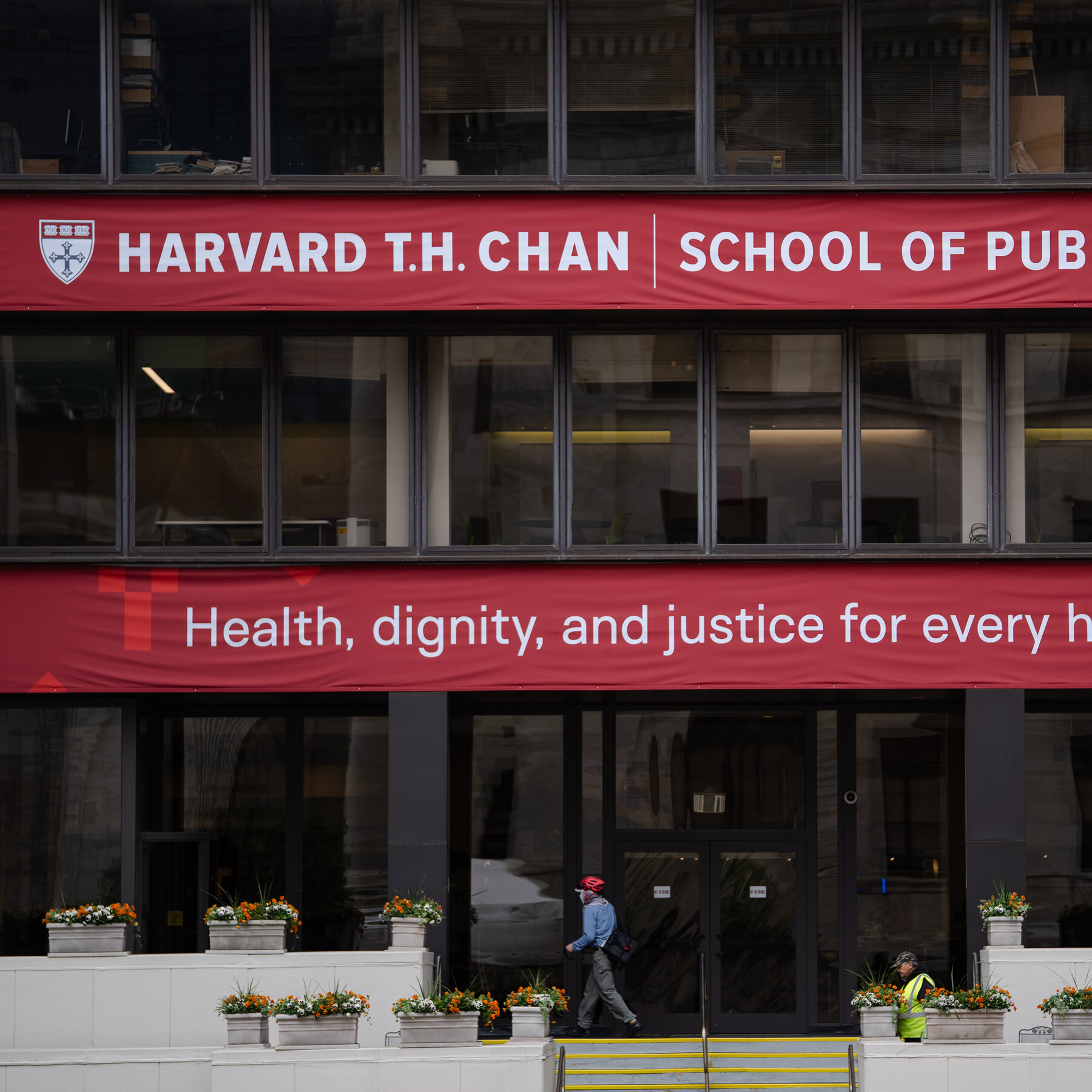 Harvard Replaces Leader of Health Center Said to Have Focused on Palestinians