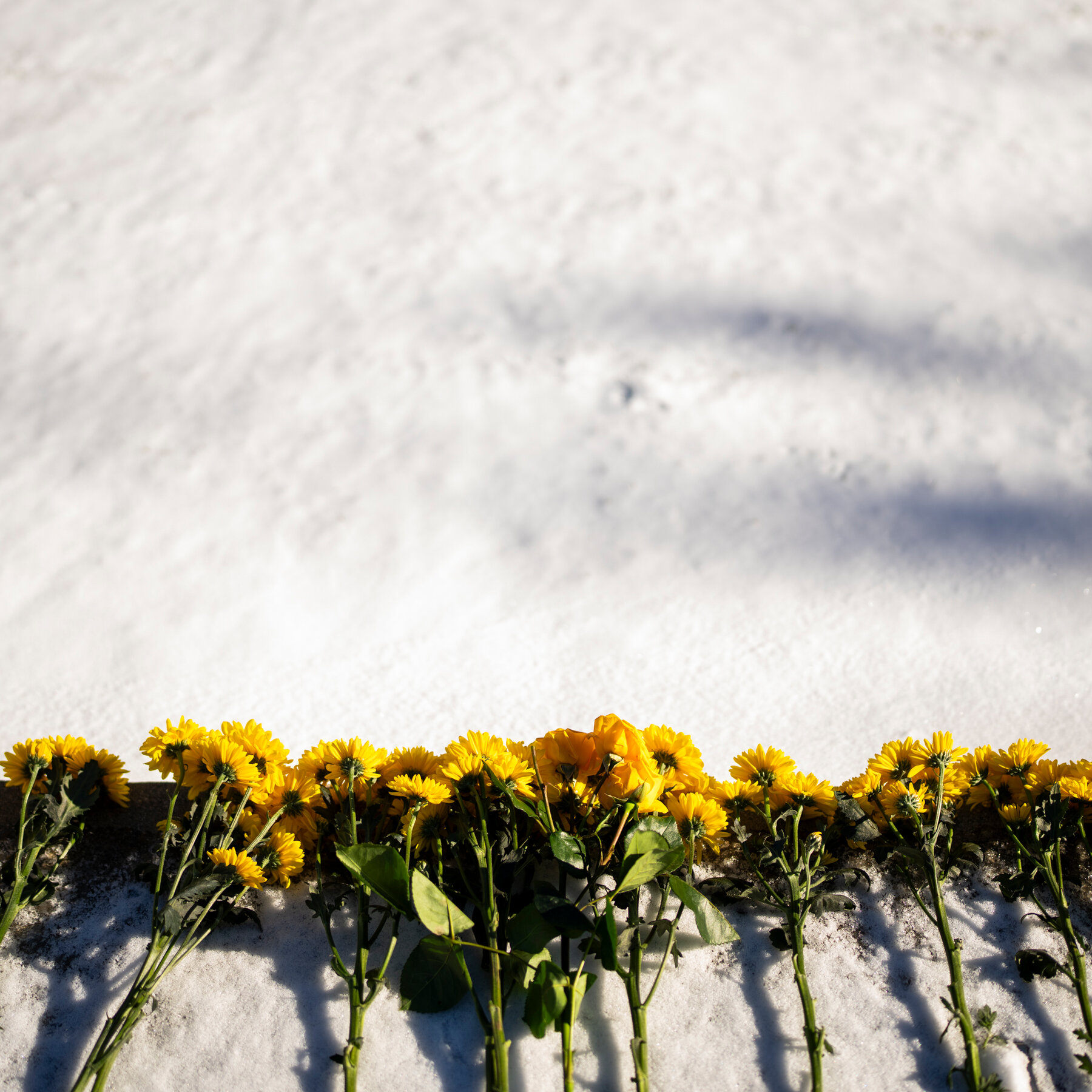 The shootings at Brown and in Sydney were a ‘gut punch’ for Providence’s Jewish community.