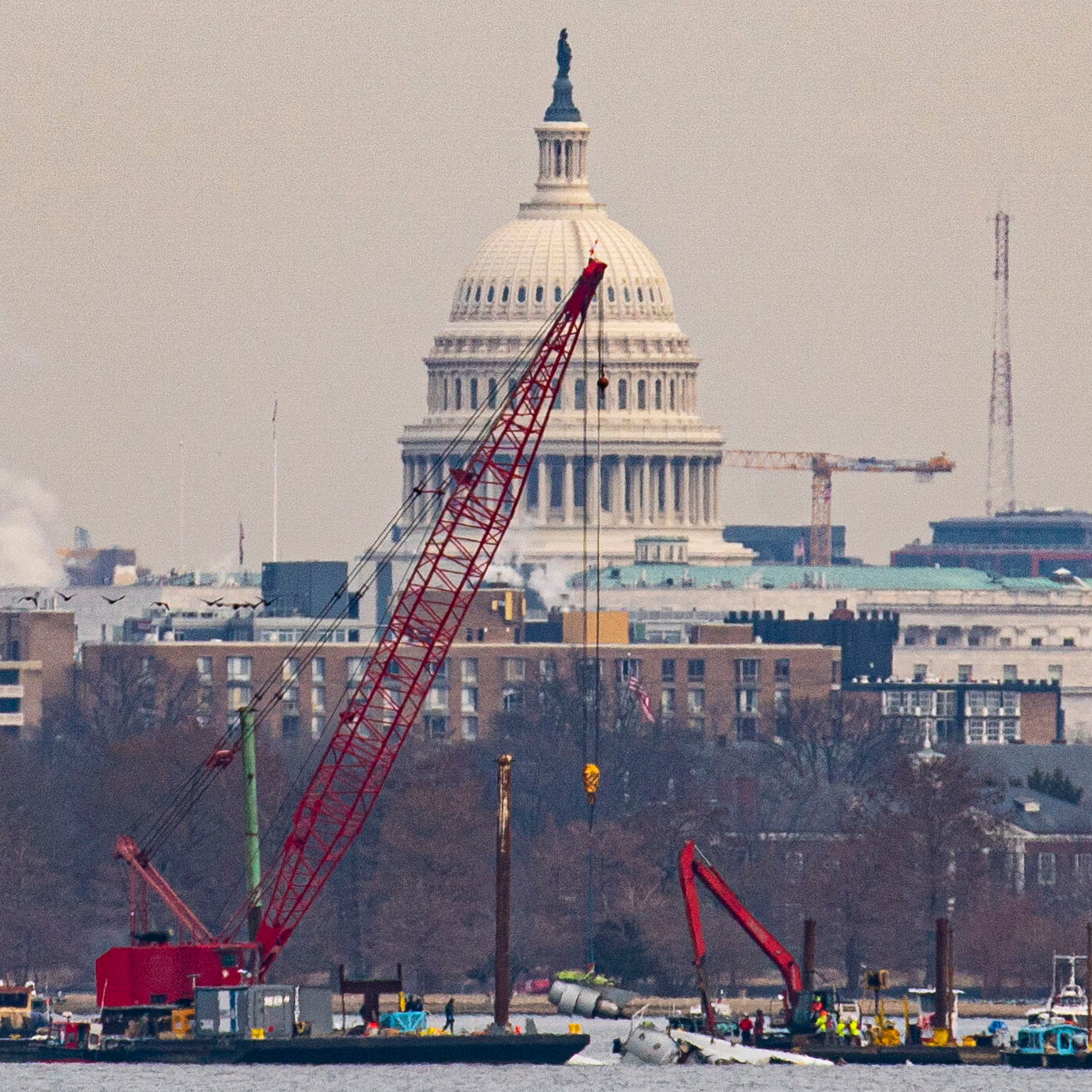 U.S. Government Admits Liability in Deadly D.C.-Area Air Collision
