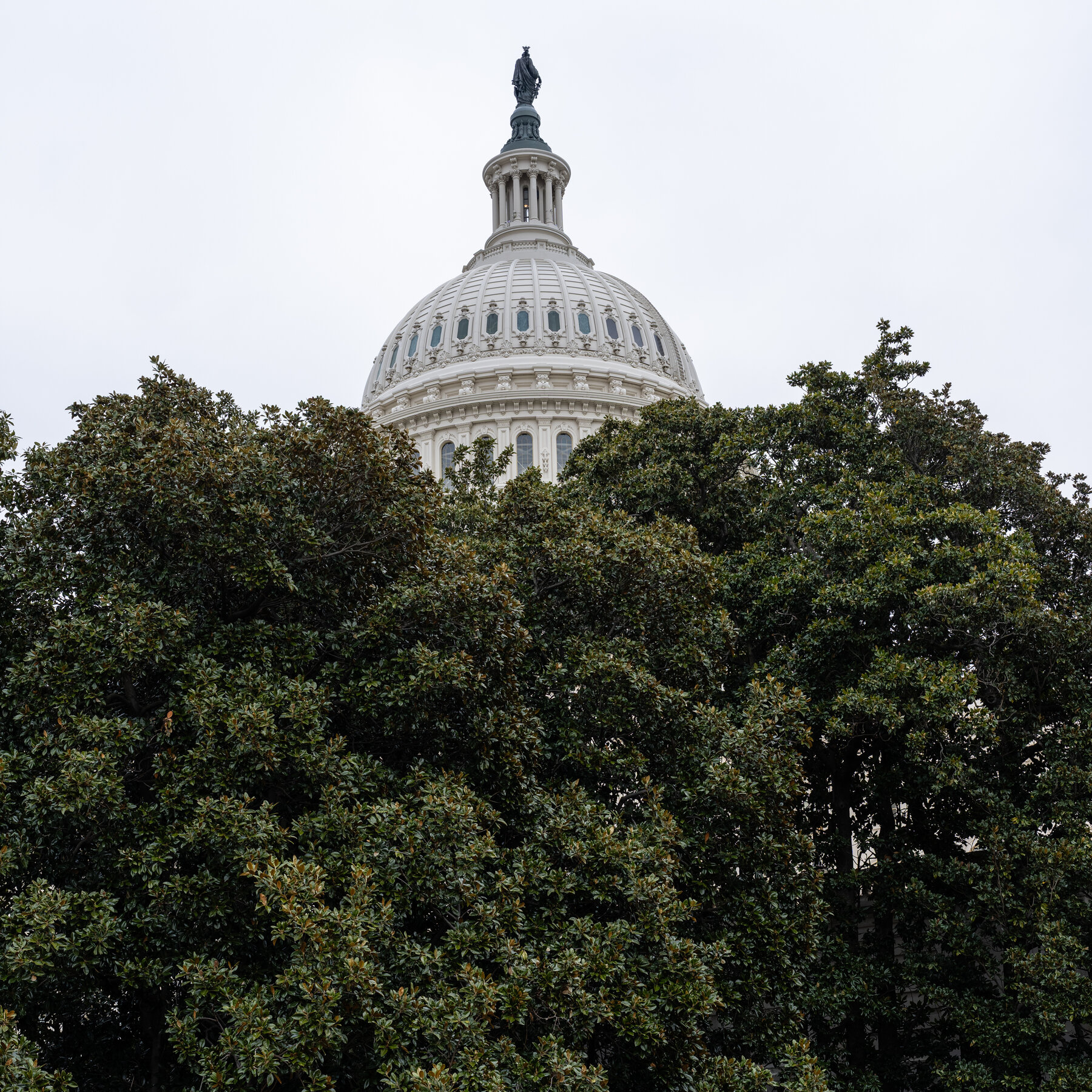 A Diminished Congress Weighs Whether to Reassert Its Power