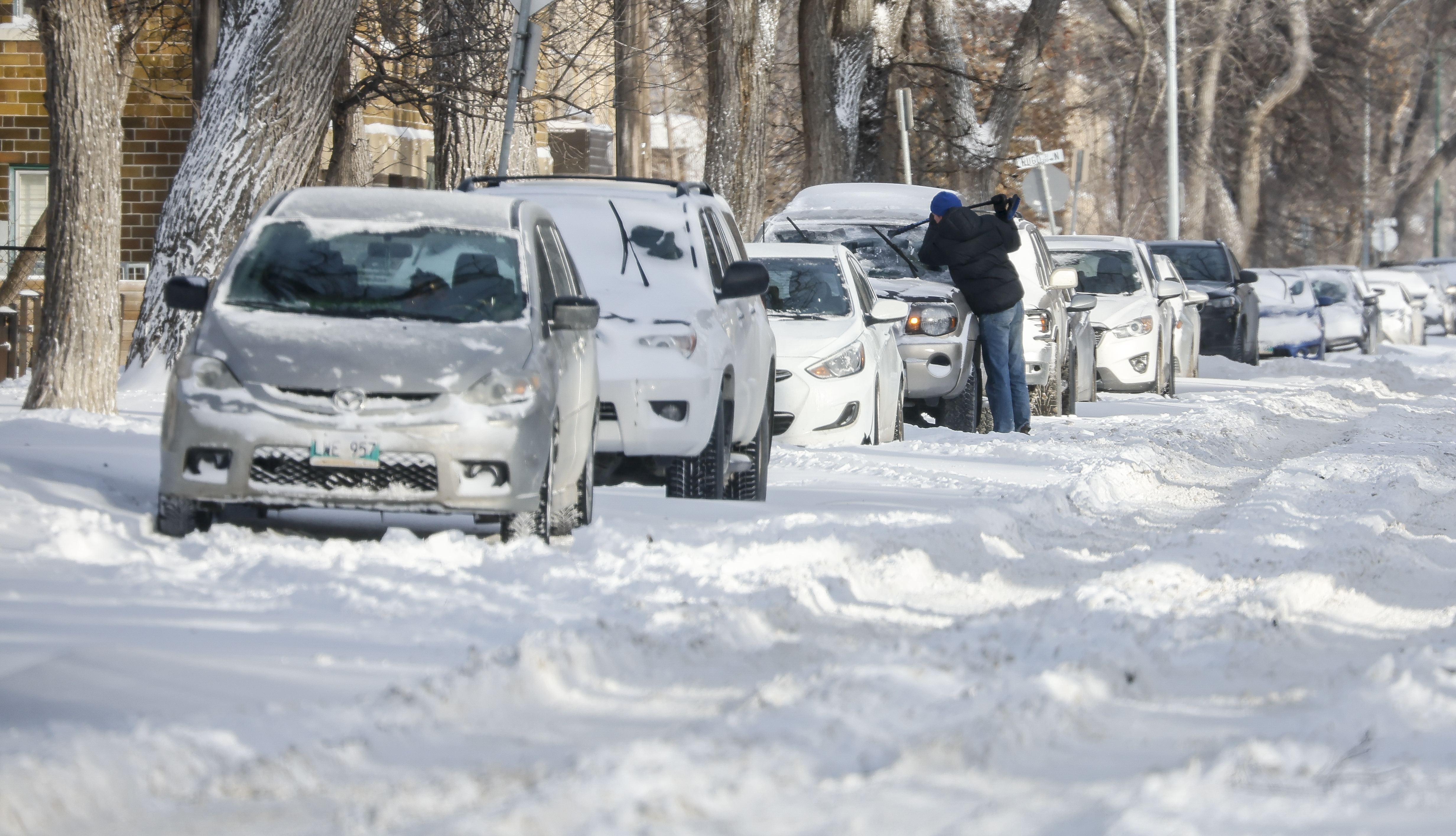 Fog, snow squalls and freezing rain: Winter weather warnings in place across Canada
