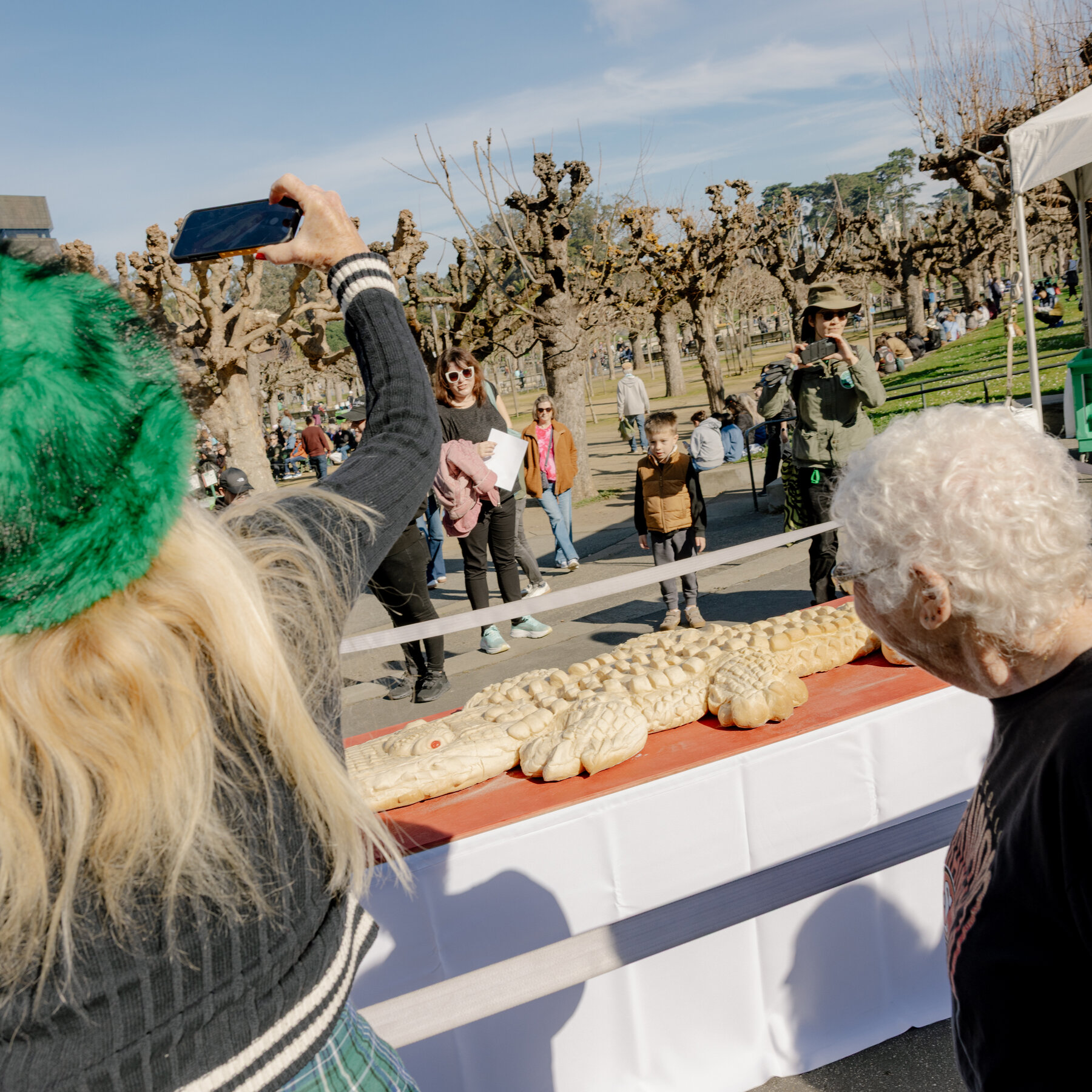 San Francisco Mourns Its Beloved Alligator, Claude