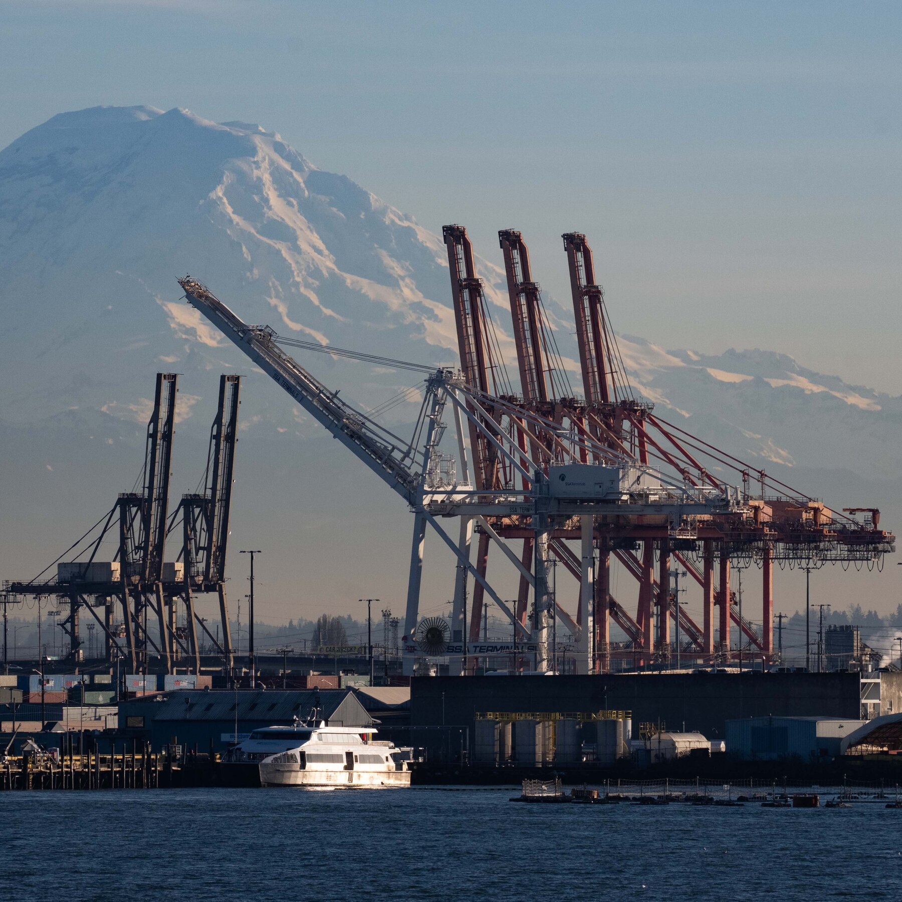 At a Seattle Port Rocked by Tariffs, There Were 70 Jobs for 600 Workers