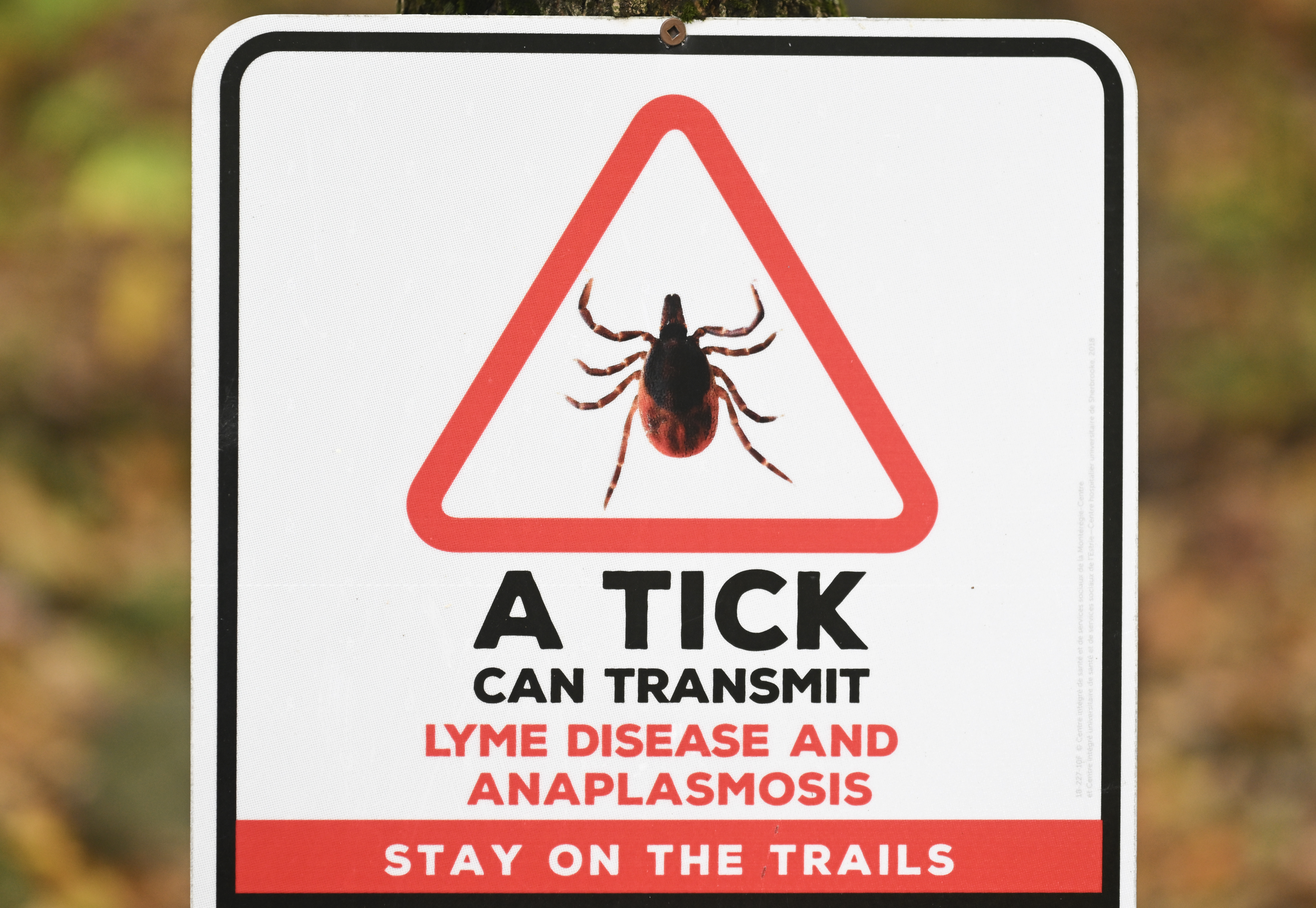 Lyme disease patients say care gaps persist in Canada, call for change