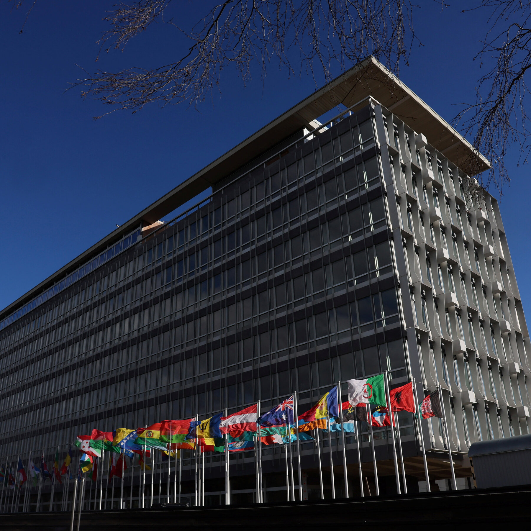 U.S. Formally Withdraws From World Health Organization