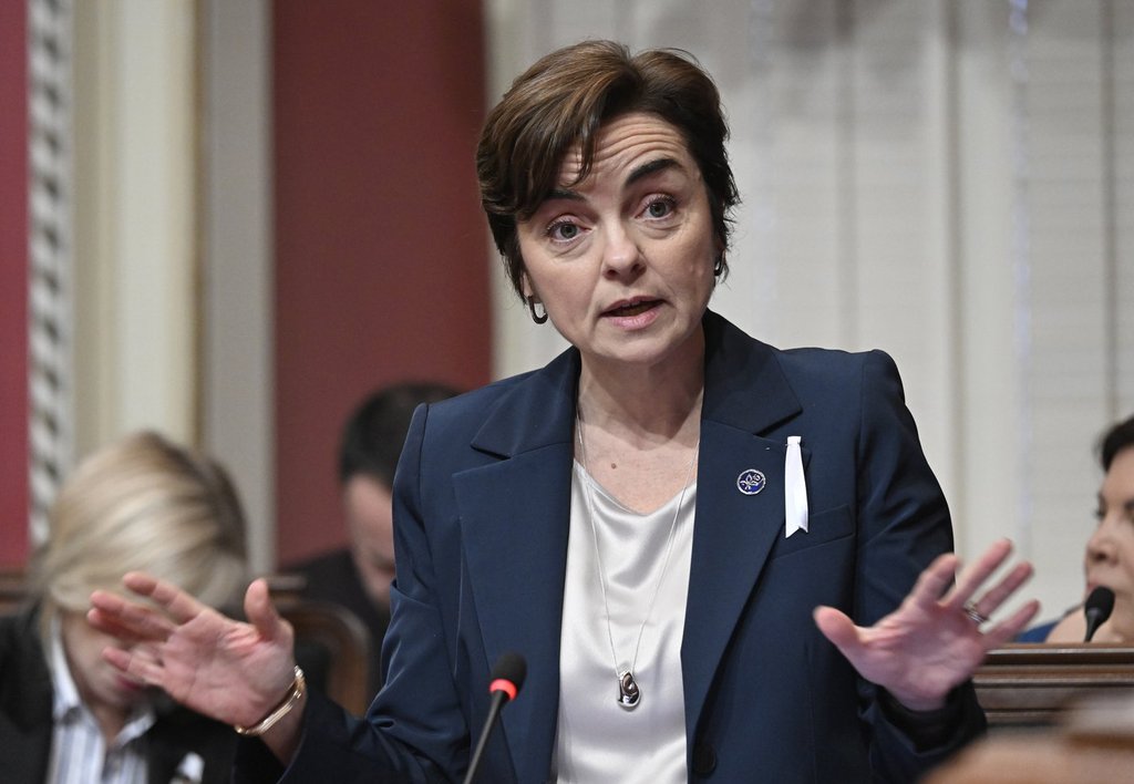 Simon Jolin-Barrette bows out of CAQ leadership race; Christine Fréchette to run