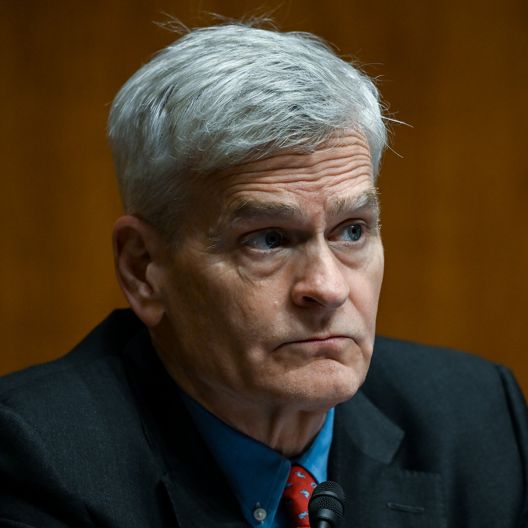 G.O.P. Senator Cassidy Calls for Investigation of Fatal Minnesota Shooting