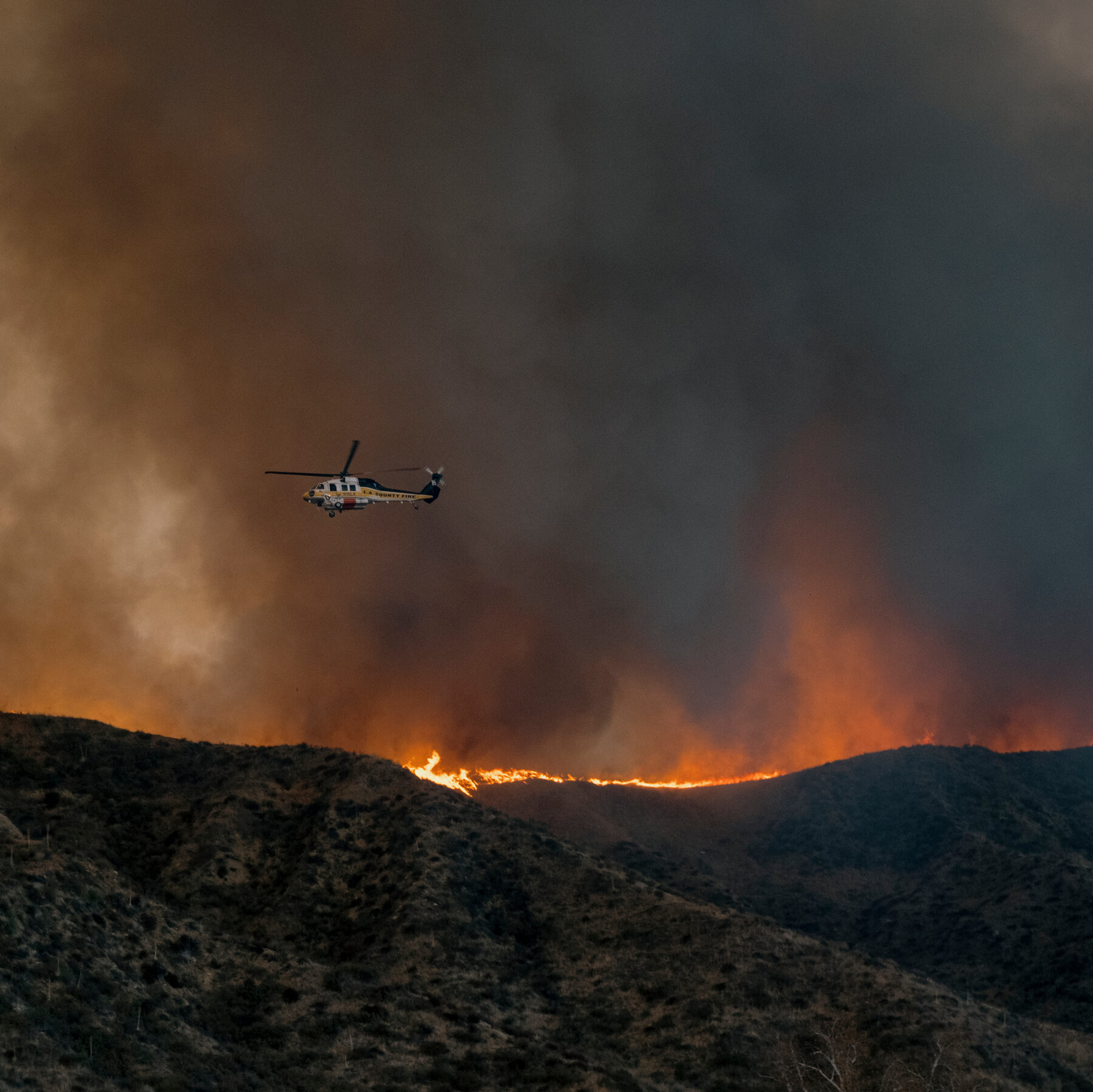 Trump Issues Order, but No Funds, to Push Faster Rebuilding After L.A. Fires