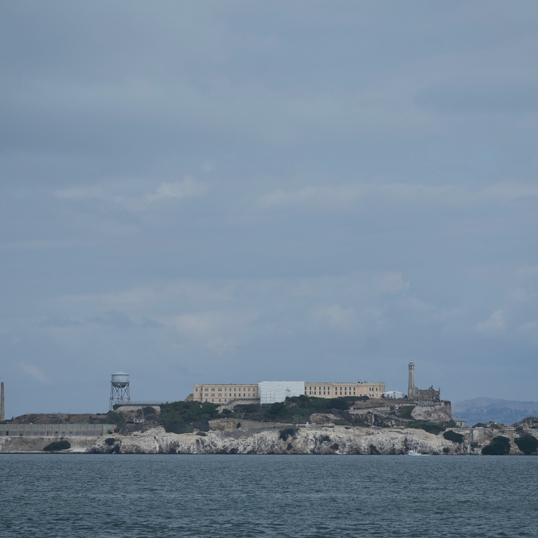 Escape to Alcatraz: Coyote Swims a Mile in Search of New Turf