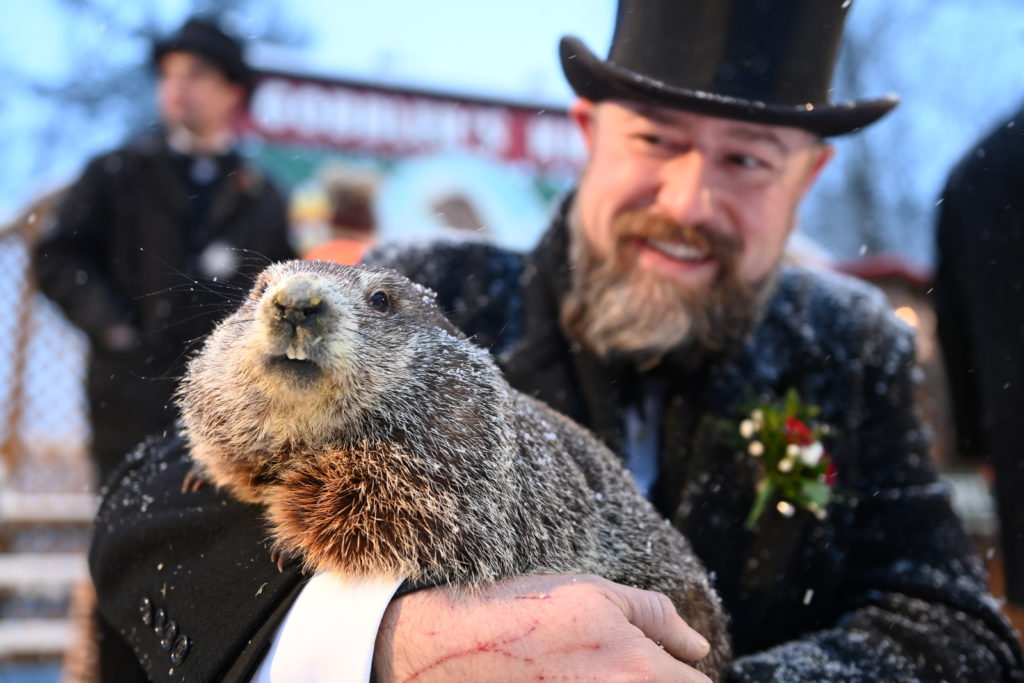 USA – Encore six semaines d’hiver, prédit la marmotte : une tradition de prévision saisonnière vieille de 140 ans