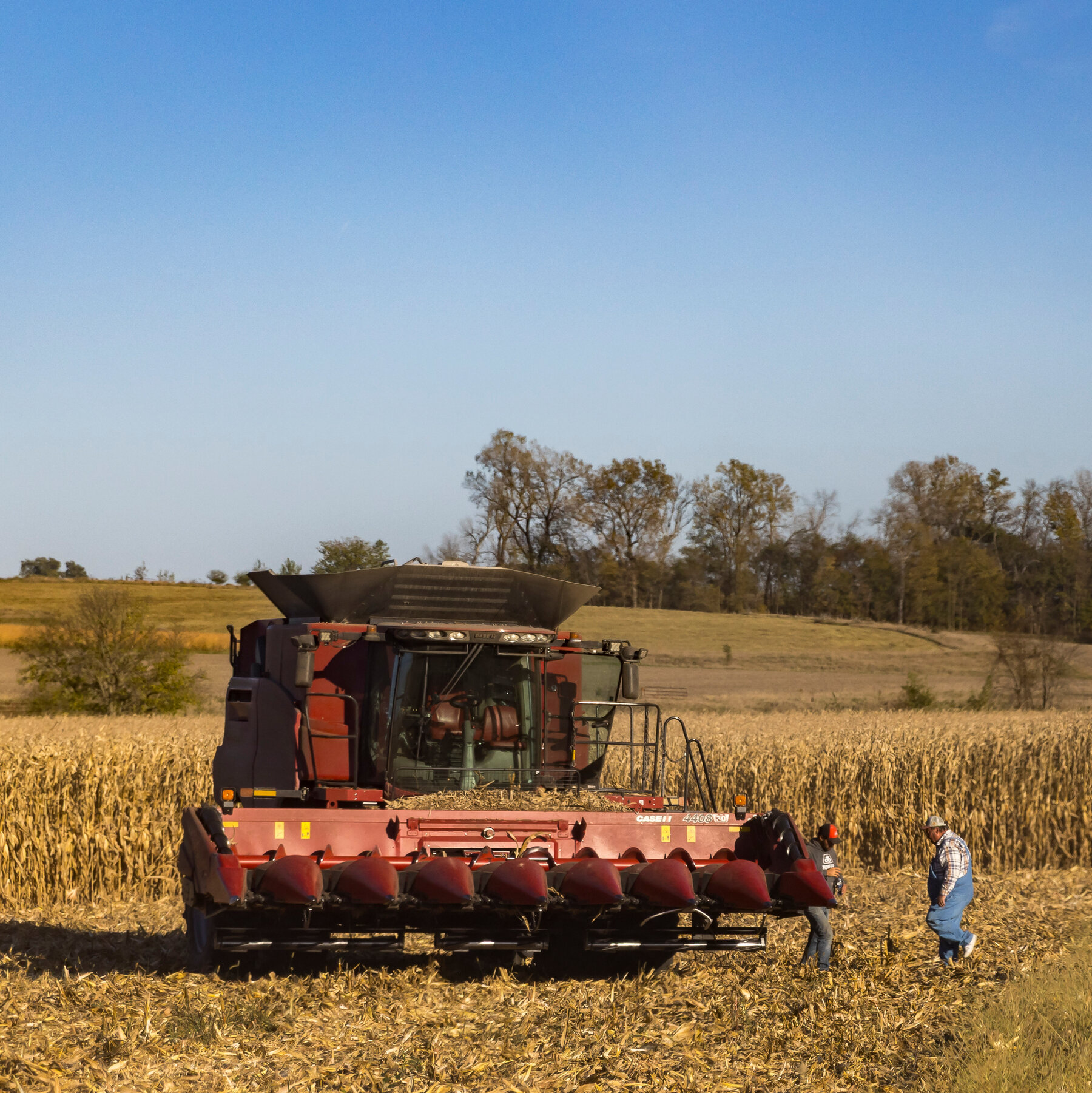 Former Farming Leaders Warn U.S. Agriculture Could Face ‘Widespread Collapse’