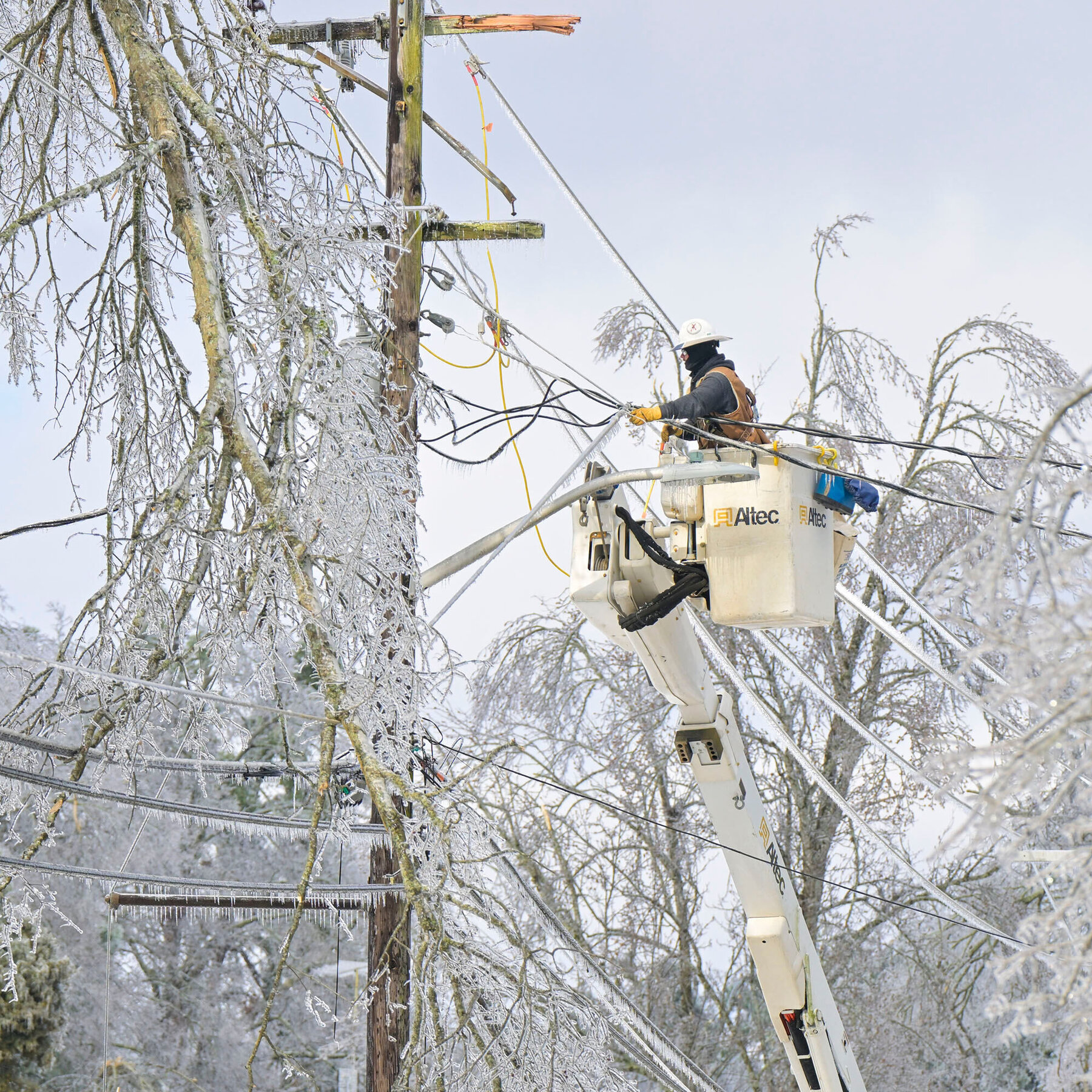 Thousands in Mississippi Remain Without Power Two Weeks After Winter Storm