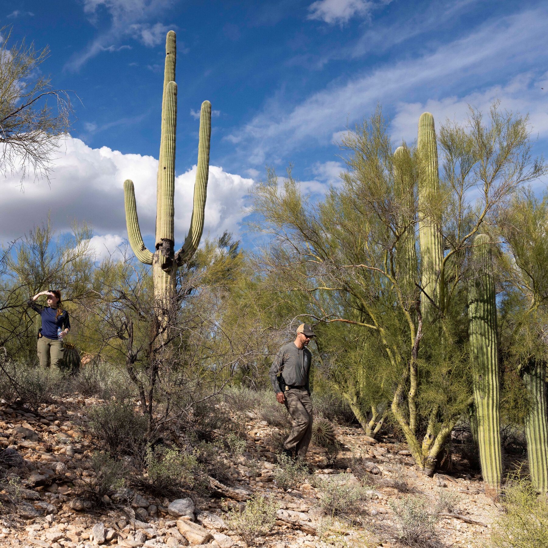 Tips Flood In, Prompted by Video of Suspect in Guthrie Kidnapping