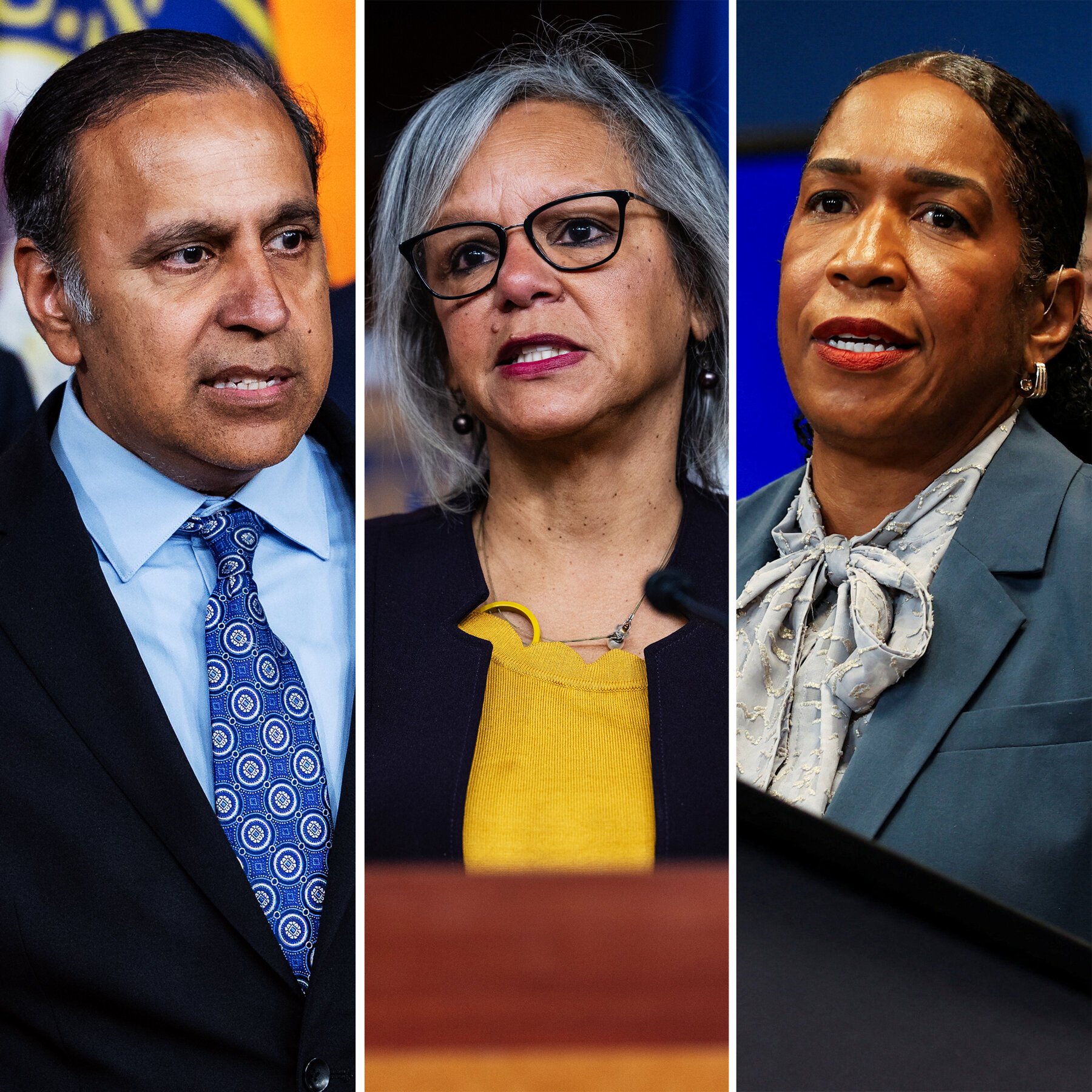 Democrats in Illinois Senate Primary Debate How to Combat Trump’s ICE