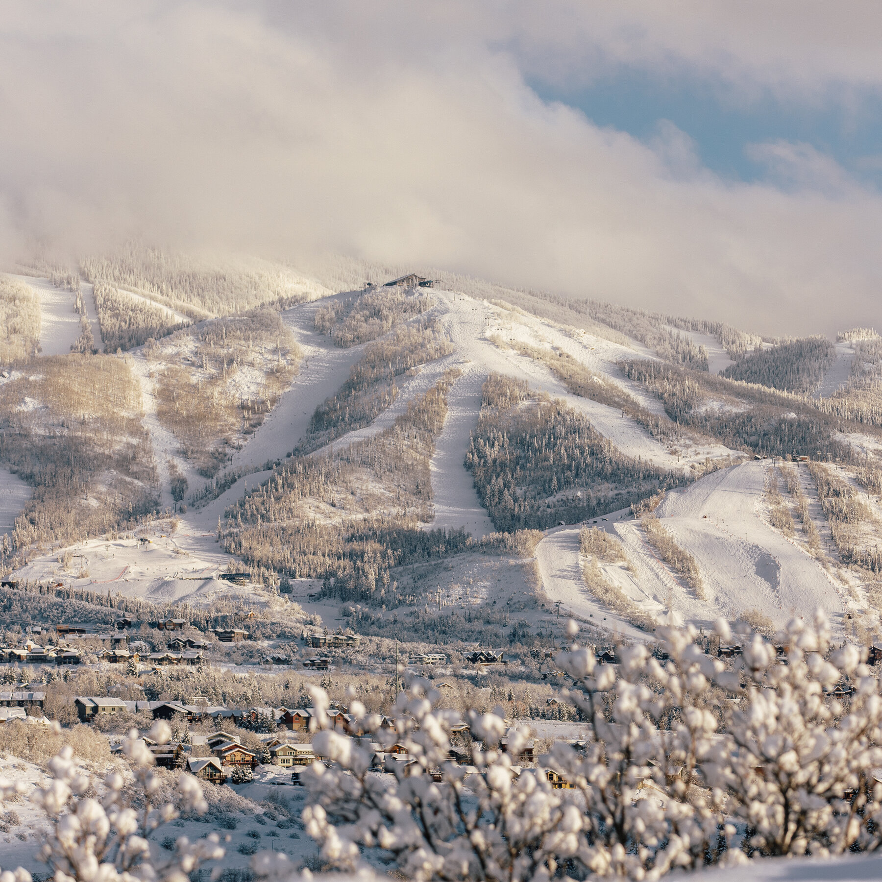 Four Killed in Plane Crash Near Steamboat Springs, Colo.