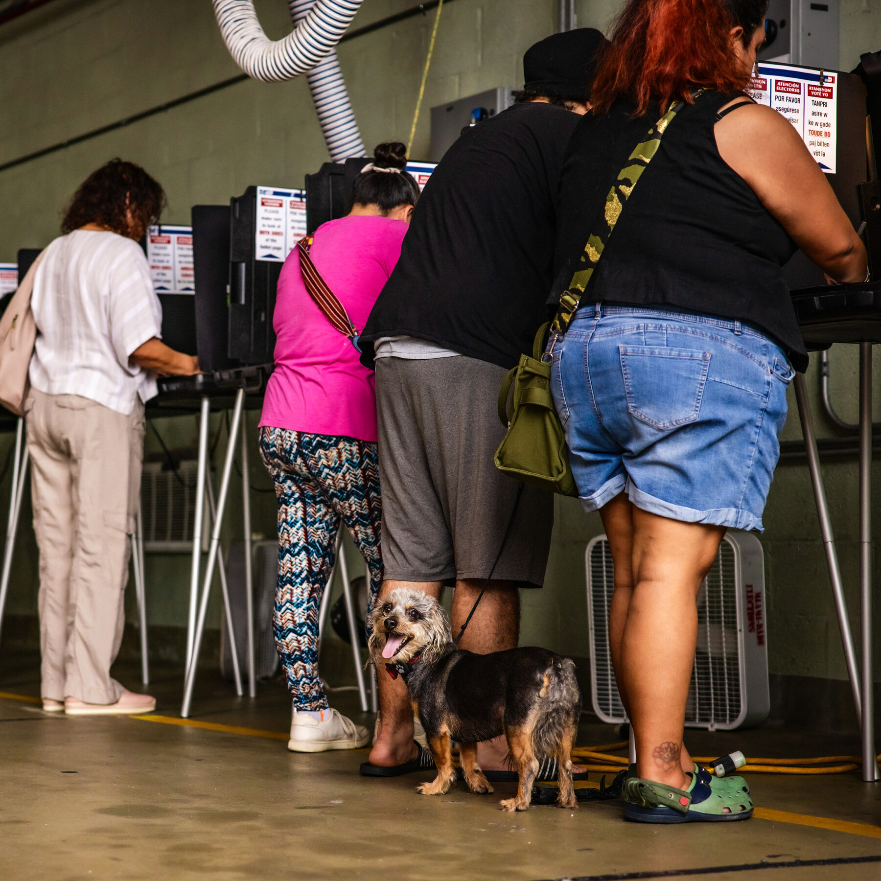 Administration Targets Noncitizen Voting, Despite Finding It Rare