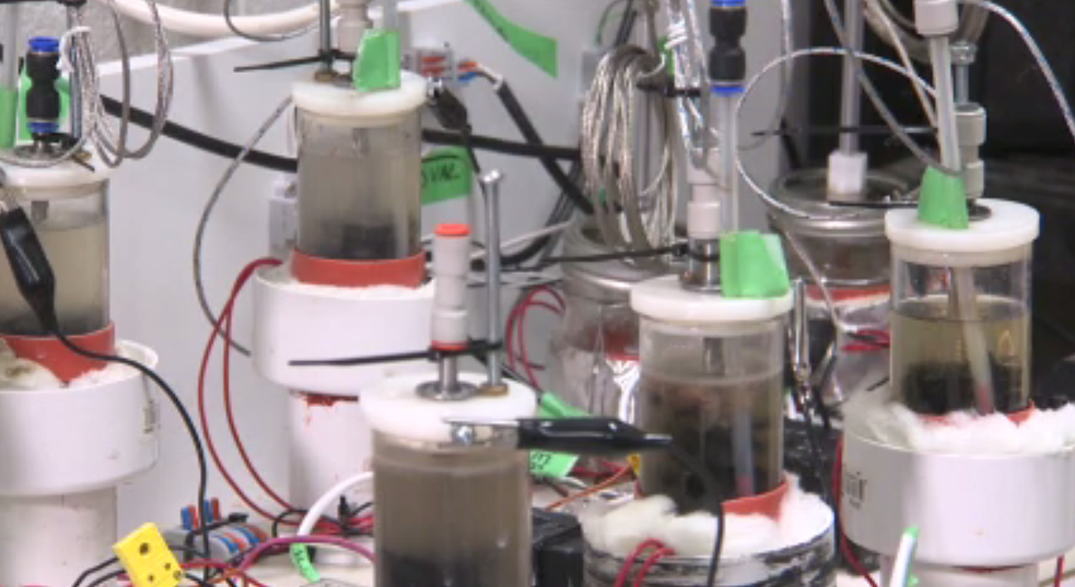 Pee power: McGill researchers harnessing human urine for clean energy