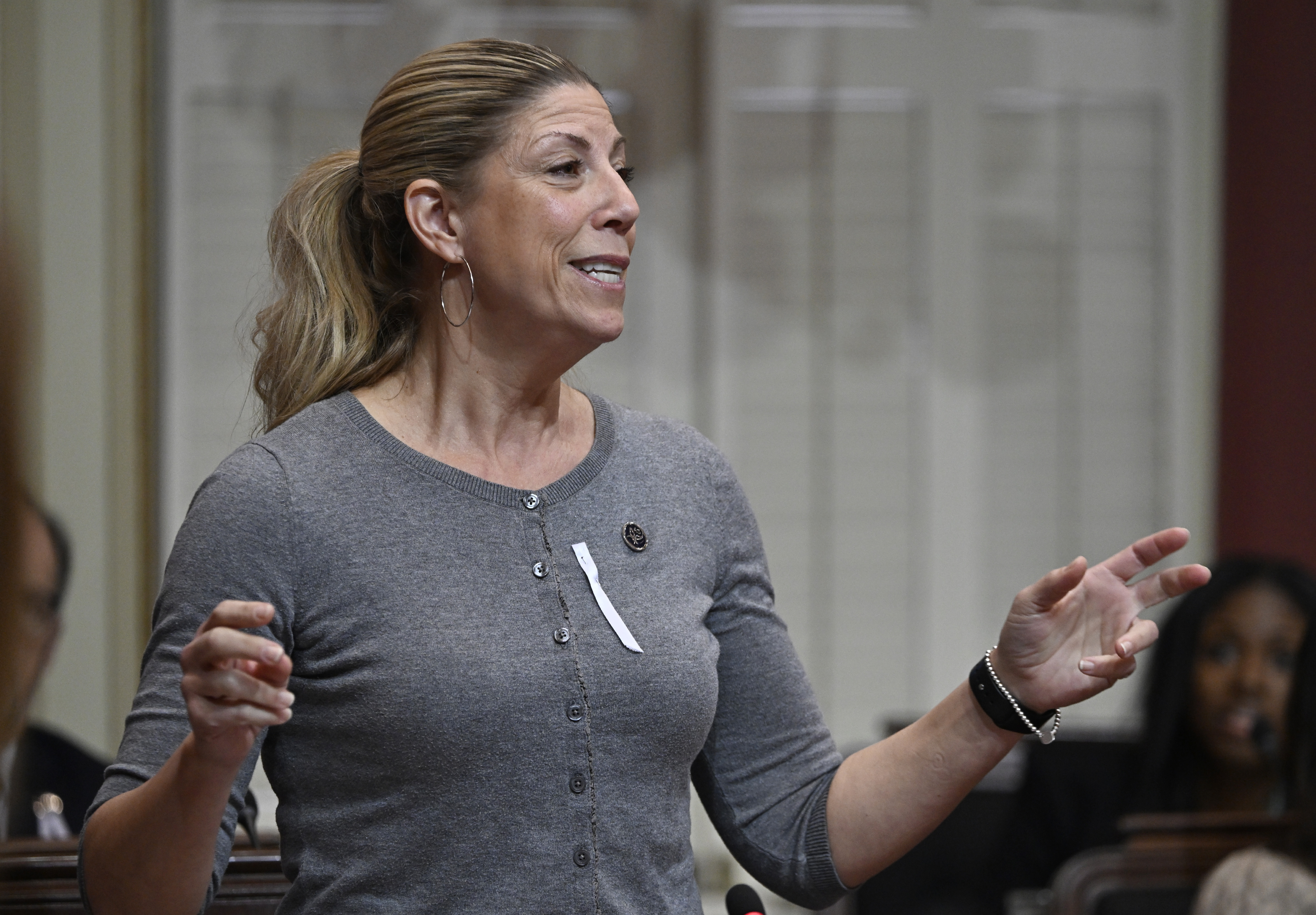 Quebec politician praised for speaking openly about menopause symptom in legislature